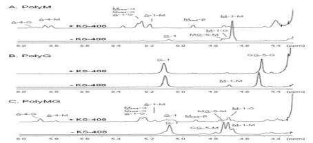 KS-408 alginate lyase를 이용하여 얻은 alginate dimer의 1H-NMR profile