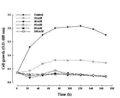 EDTA 첨가에 따른 S. cerevisiae의 cell growth