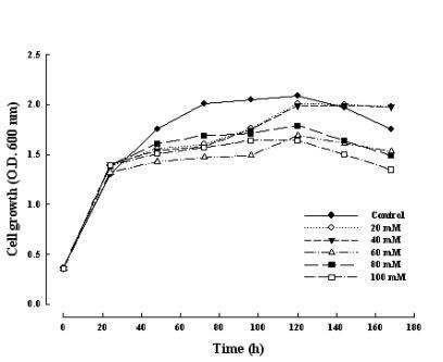 NTA 첨가에 따른 S. cerevisiae의 cell growth