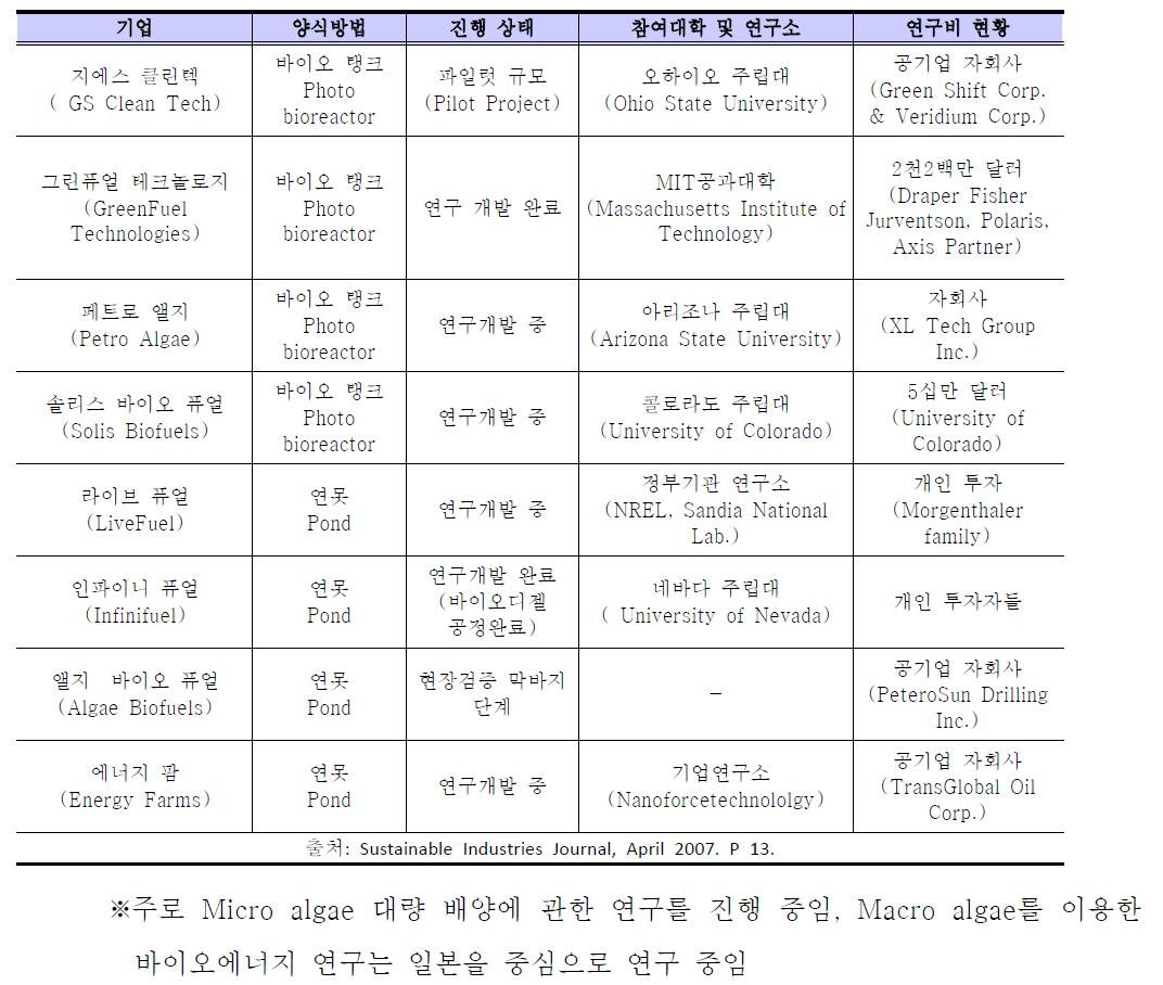 국외 해조류를 이용한 바이오 연료 연구현황