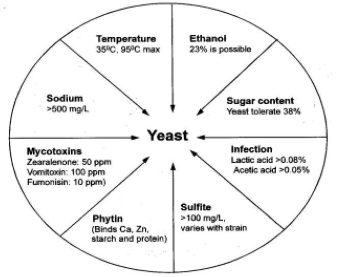 효모에 영향을 주는 저해인자