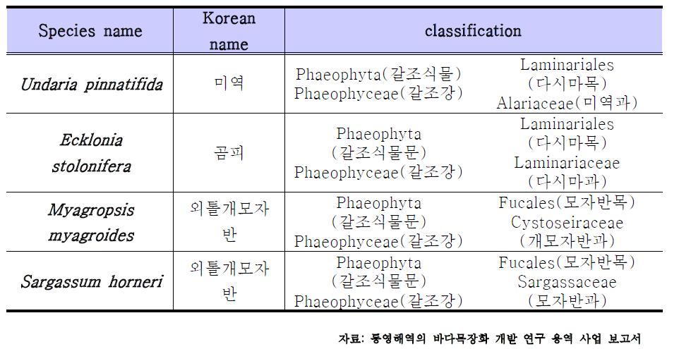 해중림 사업에 적합하다고 생각되는 대형 갈조류 목록