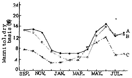 계절에 따른 Mannitol의 함량 변화