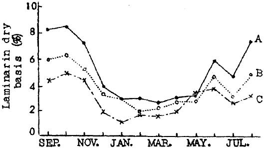 계절에 따른 Laminarin의 함량 변화