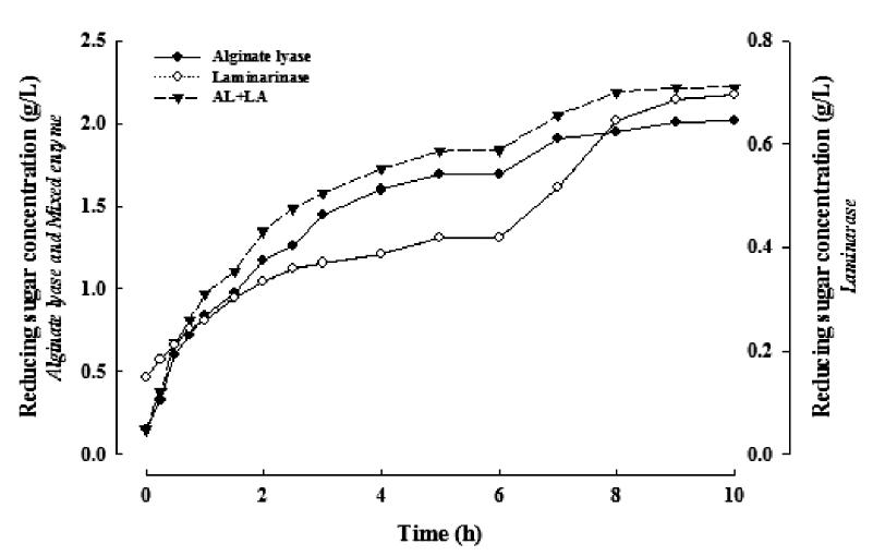 효소 가수분해를 통한 환원당 생성 측정 alginate lyase , laminarinase