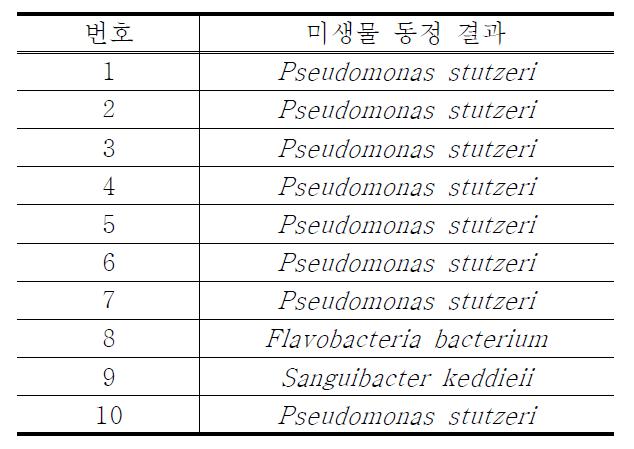 선별 균주 동정 결과