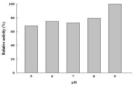 Sanguibacter keddieii NC9의 pH에 따른 alginate lyase 활성