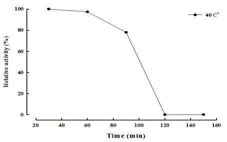 Sanguibacter keddieii NC9의 온도에 따른 alginate lyase 활성