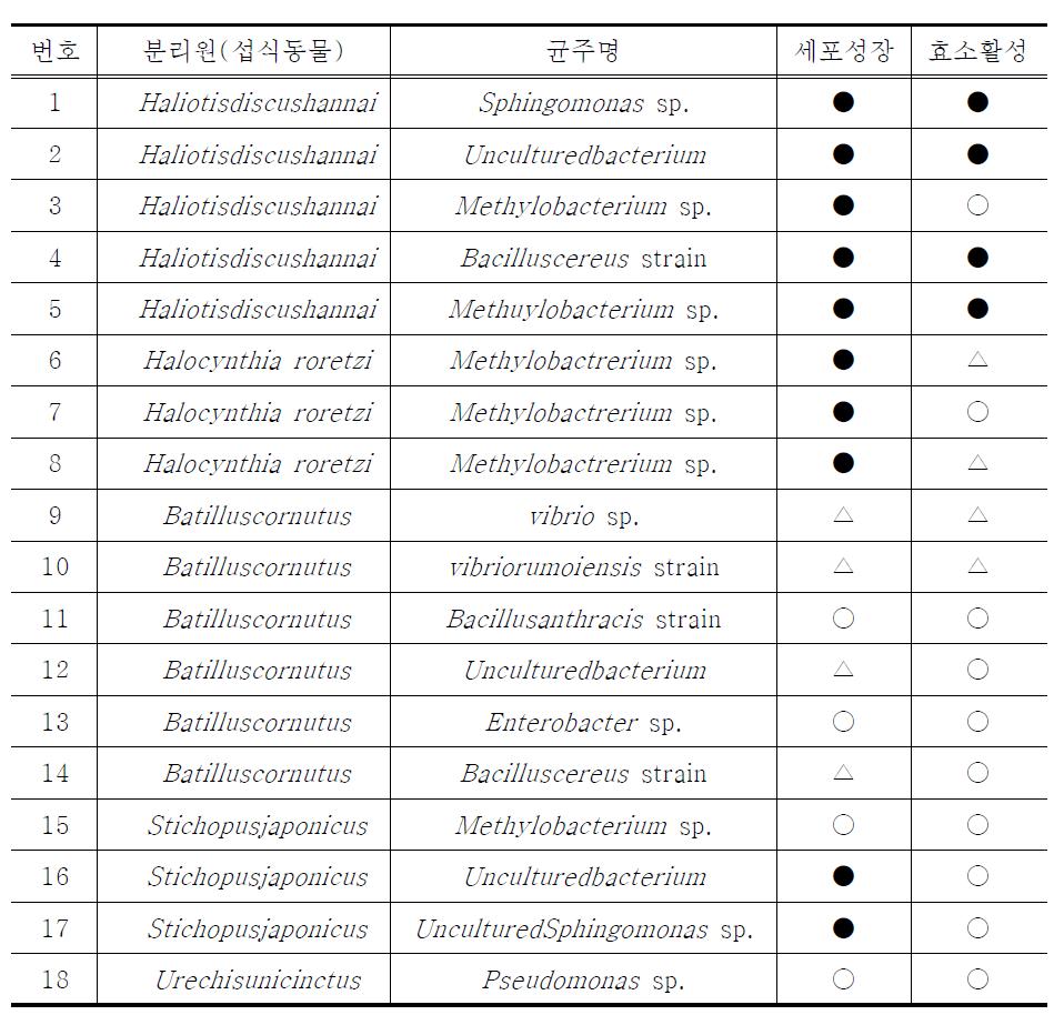 해양 섭식동물로부터 분리한 alginate lyase 생산균주의 동정 및 세포성장과효소활성(●: 우수, ○: 보통 △: 낮음)