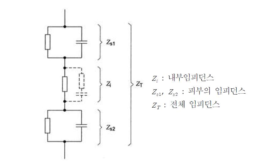 인체의 임피던스