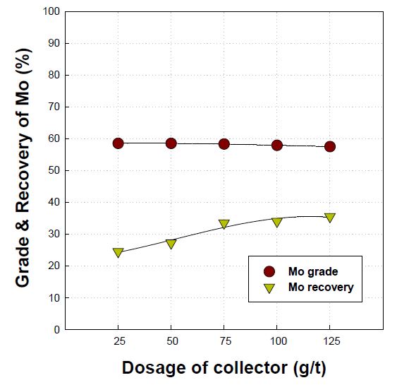 Effect of collector dosage in froth flotation for high grade molybdenite