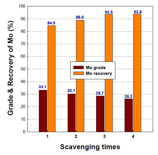 Effect of scavenging times on Mo grade and recovery in feasibility froth flotation.
