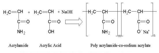 Structure of anionic acrylamid and Na-acrylate copolymer.