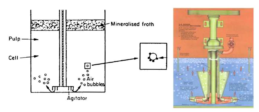Principle and schematic view of froth flotation.
