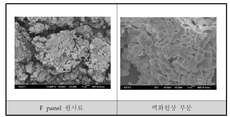 표면 백화현상 표면 SEM 분석