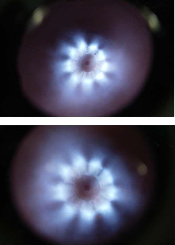 노즐 사이즈에 따른 화염 형상, 상(25mm), 하(15mm)