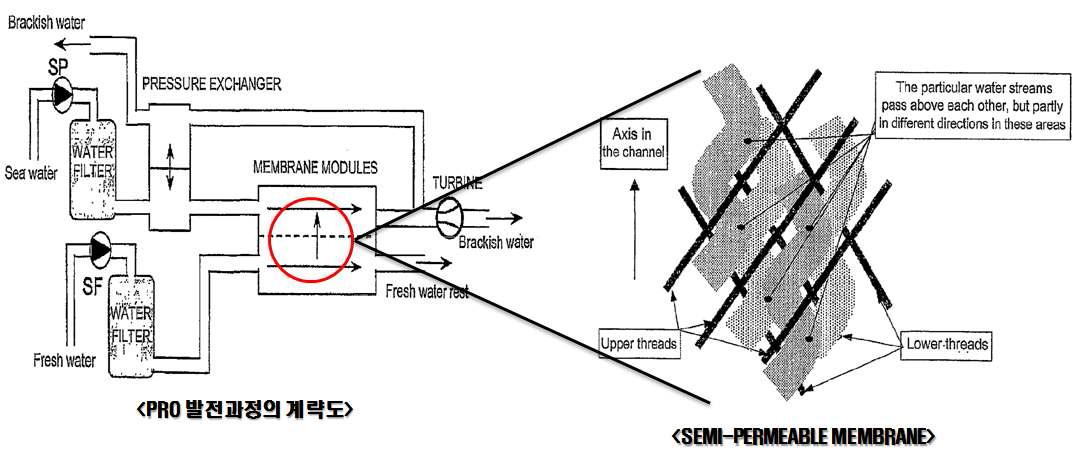 SEMI-PERMEABLE MEMBRANE FOR IN OSMOSIS 모식도