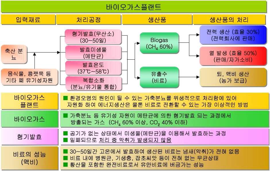 바이오가스 플랜트 공정