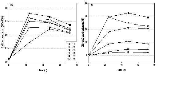 과당을 이용한 P. productus의 세포성장 및 에탄올 생산