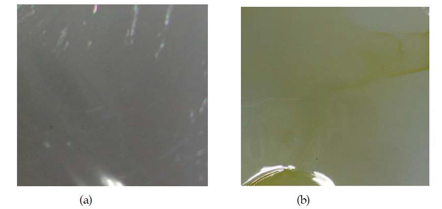 Lab 코터로 제막한 전해질막의 표면: Nafion-cast (a), PBI-cast (b)