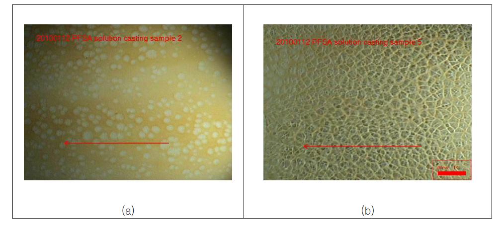 고온 (160℃ (a), 140 ℃ (b)) 건조에 따른 막 표면 defects (광학현미경 사용, x1)