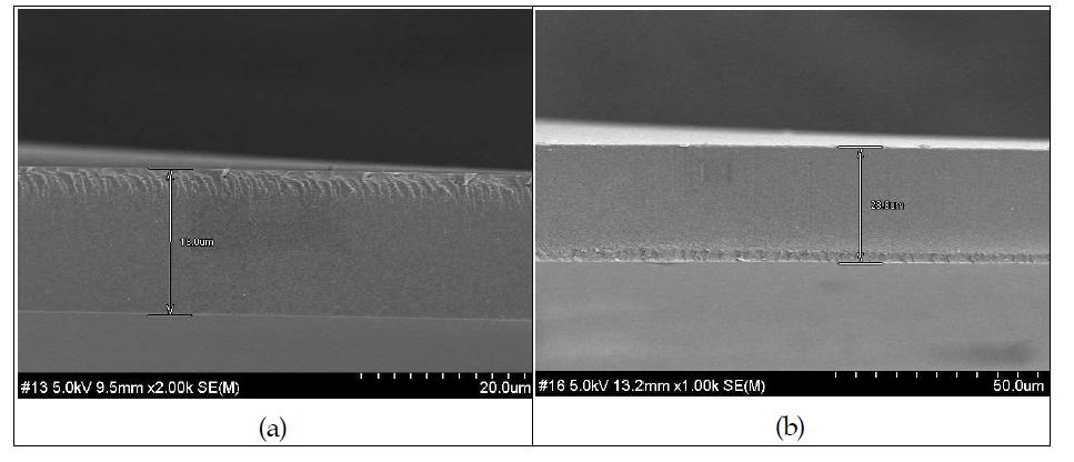 코팅 wet 두께 300 μm (a), 400 μm 막의 SEM 단면 이미지 (x1000)