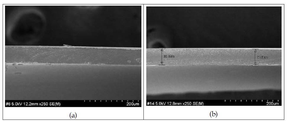 건조 온도 160℃ (a), 180℃에 따른 막의 SEM 단면 이미지 (x250)