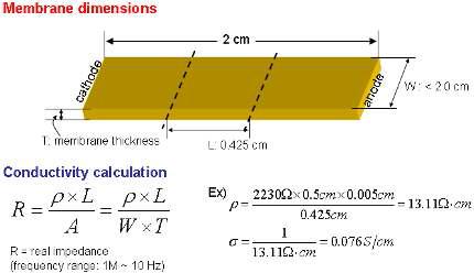 이온 전도도 측정 시편 크기 및 전도도 식