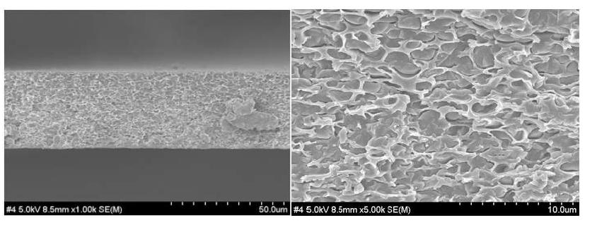 Lab scale doctor blade를 활용한 제막의 단면 SEM 사진