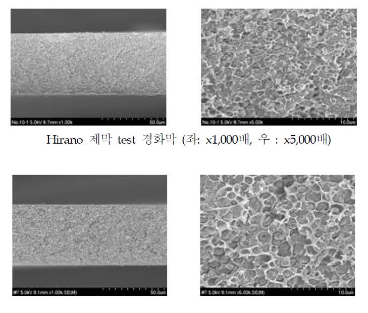 SEM cross-section image 비교