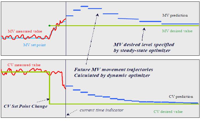 Steady State and Dynamic Optimization