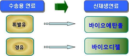 선행 RFS 연구에서 제시된 도입 신재생연료