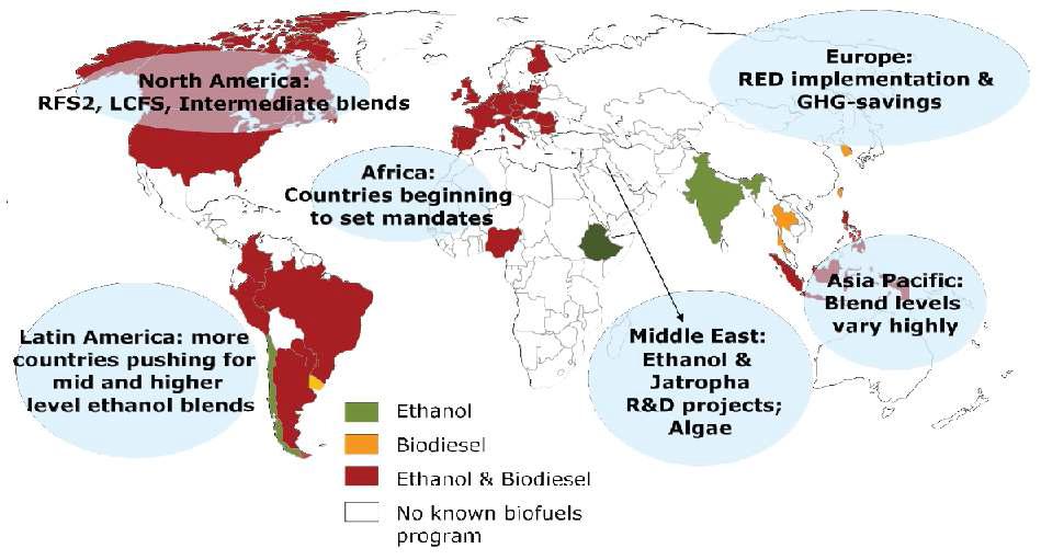 세계 지역별 신재생연료 혼합의무 도입정책 현황
