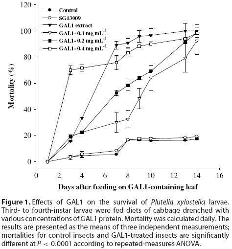 Gal1의 배추좀나방에 대한 살충성 검정.