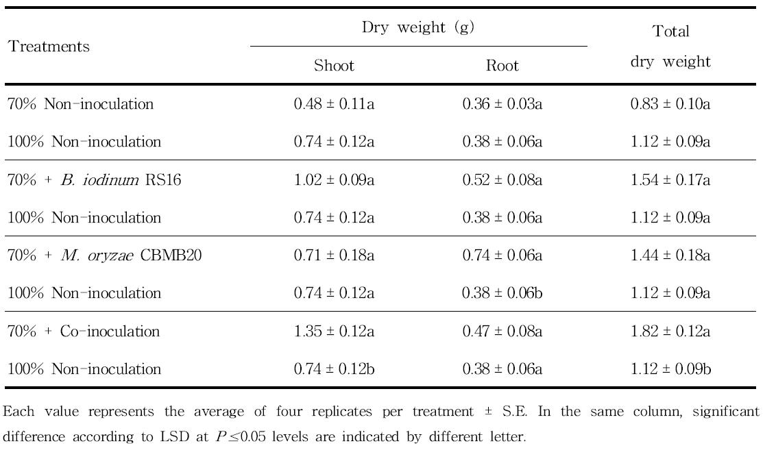 Comparition of maize dry biomass in all treatment of 70% fertilizer level with non-inoculated treatment of 100% fertilizer