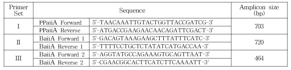 aiiA 유전자 증폭을 위한 PCR Primer Set