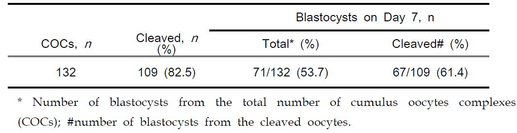 Cleavage rate and blastocyst formation afte IVF