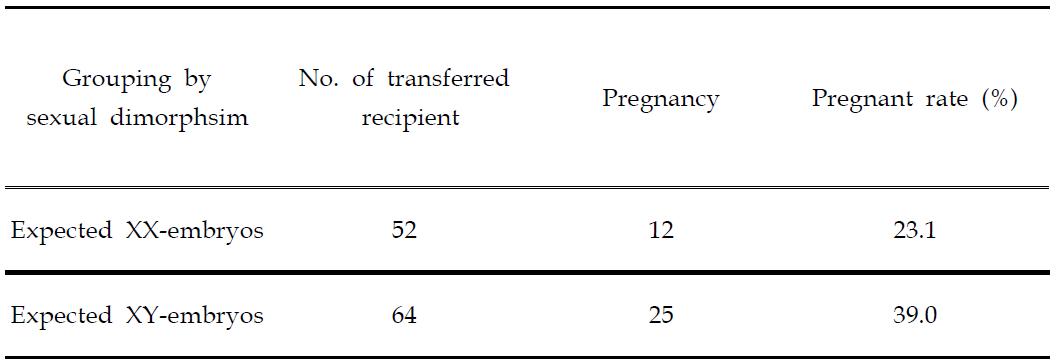 Pregnancy rate after transfering in vitro produced bovine blastocysts using sexual dimorphism