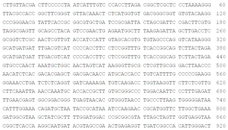 DSB04 strain의 16S rRNA gene sequences