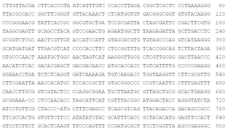 DSB03 strain의 16S rRNA gene sequences