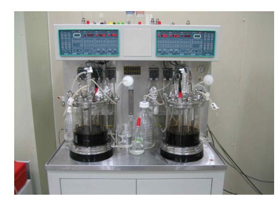 실험에 사용한 jar fermentor (5 liter 규모)의 모습