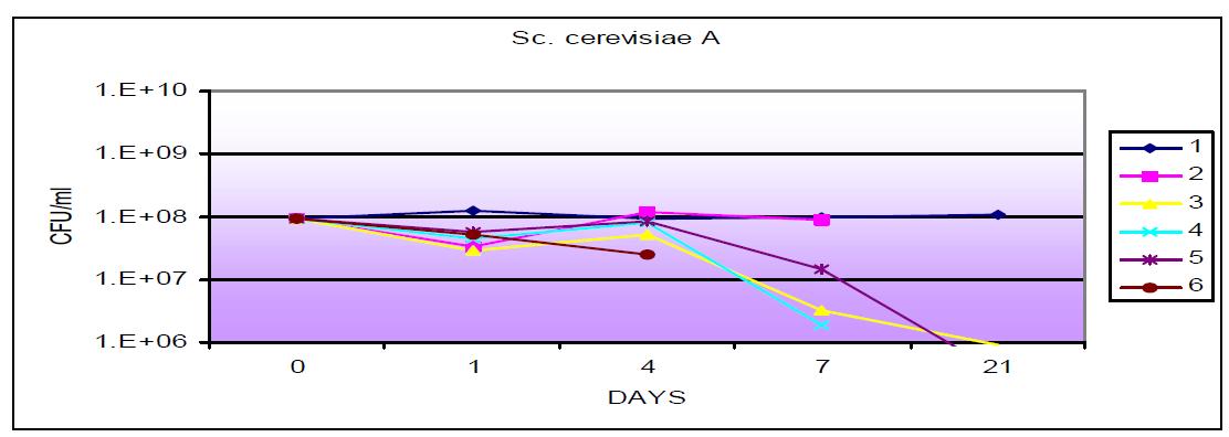 배지 성분변화에 따른 S. cerevisiae A의 성장 곡선