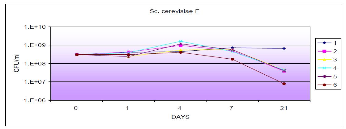 배지 성분변화에 따른 S. cerevisiae E의 성장 곡선
