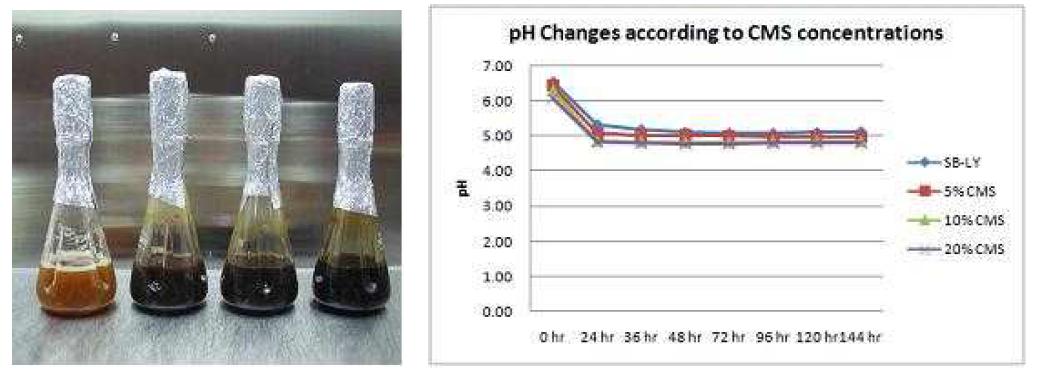 CMS 함유 SB-LY 배지에서의 AYL 혼합균주 배양액(좌)과 pH 변화(우)