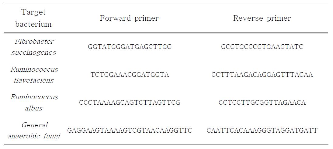 정량 PCR 용 Primer