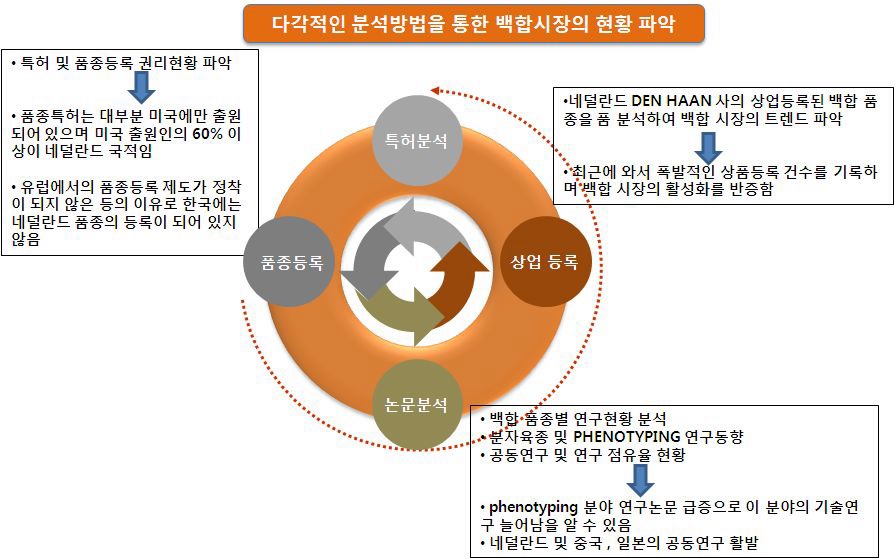 백합시장의 현황파악 분석법