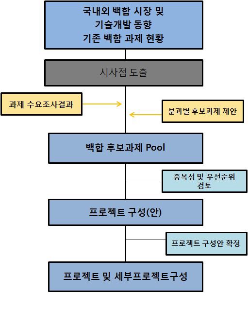 후보과제 도출