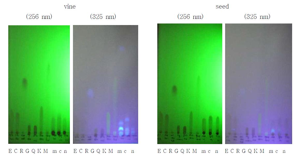 TLC of flavonoids and grape samples.