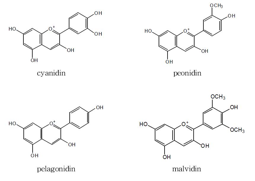 Chemical structure of Anthocyanins in grape skin samples