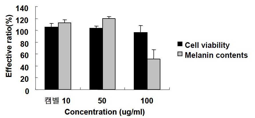 켐벨 덩굴 sample의 농도별 세포 생존율 및 melanin 생성 억제